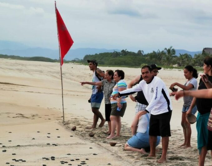 Puerto Escondido: Turtle Release Experience - Customer Feedback Highlights