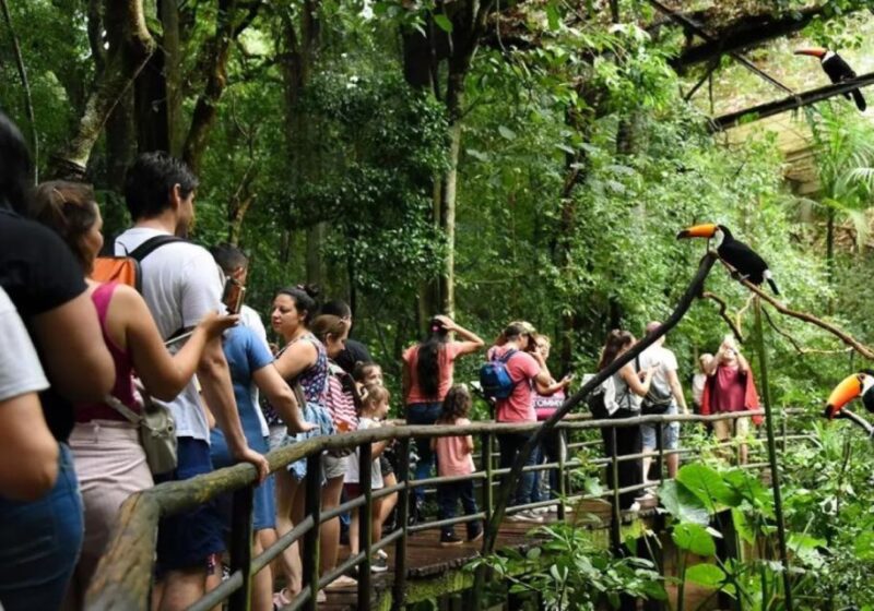 Puerto Iguazu: Iguaza Falls Brazilian Side & Bird Park Tour - Iguazu National Park