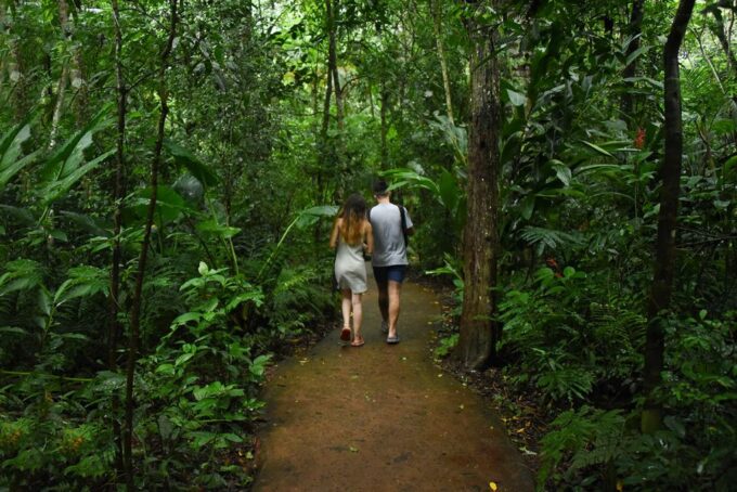 Puerto Iguazu: Iguaza Falls Brazilian Side & Bird Park Tour - Booking and Logistics