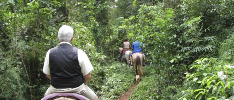 Puerto Iguazu: Jungle Horseback Ride With Guarani Community - Key Points