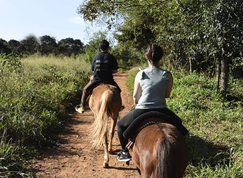 Puerto Iguazu: Jungle Horseback Ride With Guarani Community - Duration and Pricing Details