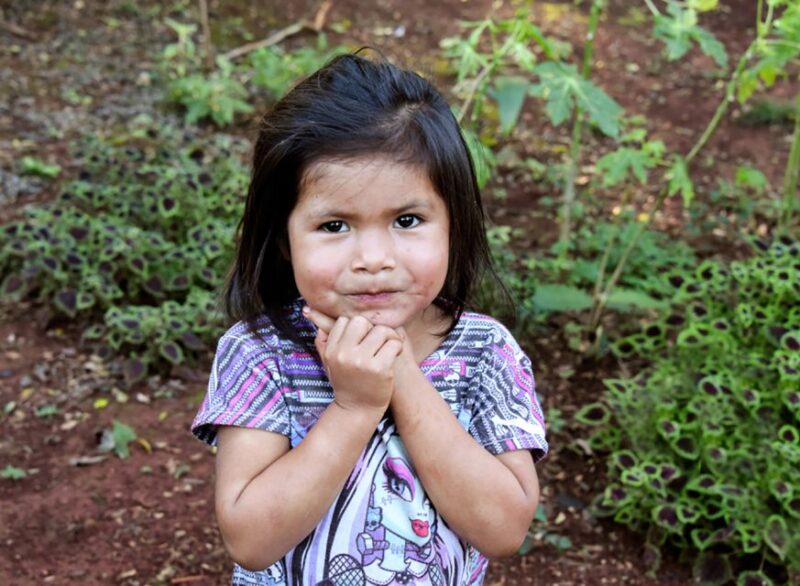 Puerto Iguazu: Jungle Horseback Ride With Guarani Community - Visiting the Guarani Community