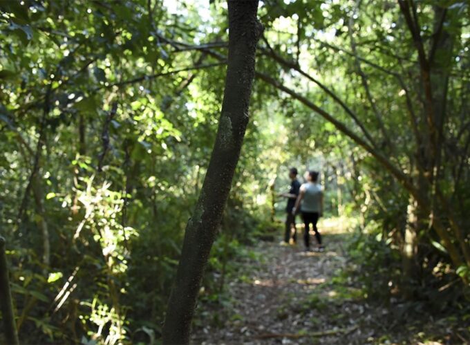Puerto Iguazu: Jungle Horseback Ride With Guarani Community - Exploring Native Flora and Fauna