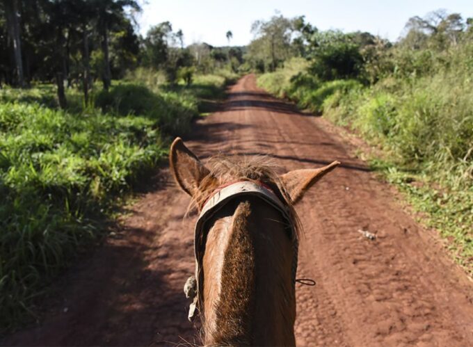 Puerto Iguazu: Jungle Horseback Ride With Guarani Community - Frequently Asked Questions