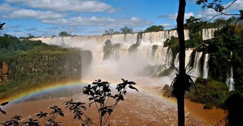 Puerto Iguazú: Tour to Brazilian Iguazú Falls With Bird Park - Panoramic Views of Iguazú Falls