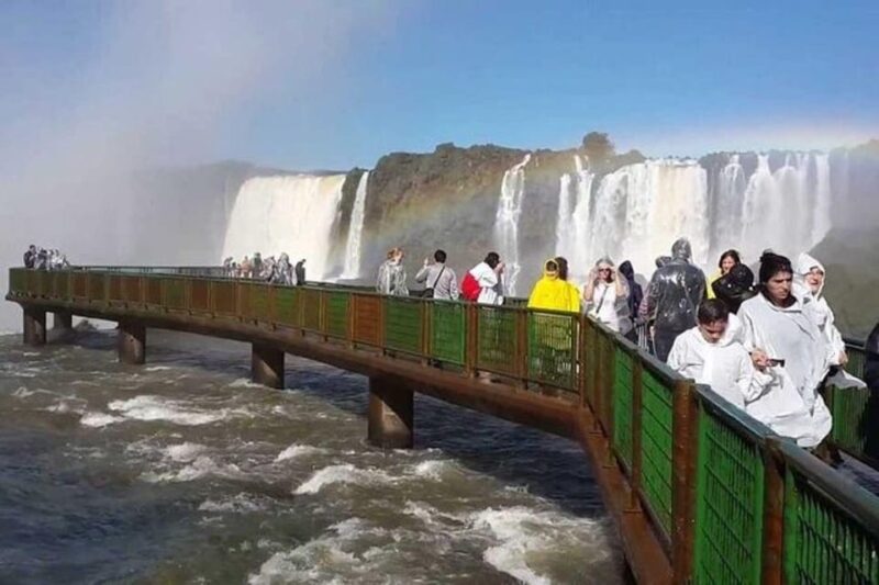 Puerto Iguazú: Tour to Brazilian Iguazú Falls With Bird Park - Close-Up Experience With Bird Species