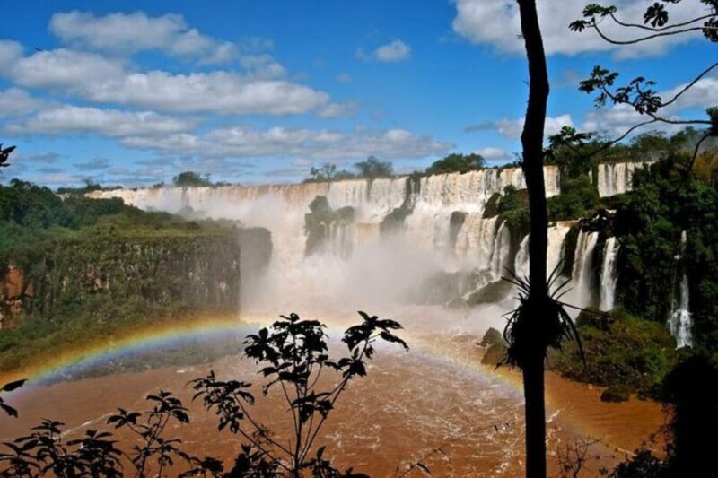 Puerto Iguazú: Tour to Brazilian Iguazú Falls With Bird Park - Reptiles and Butterflies in Habitats