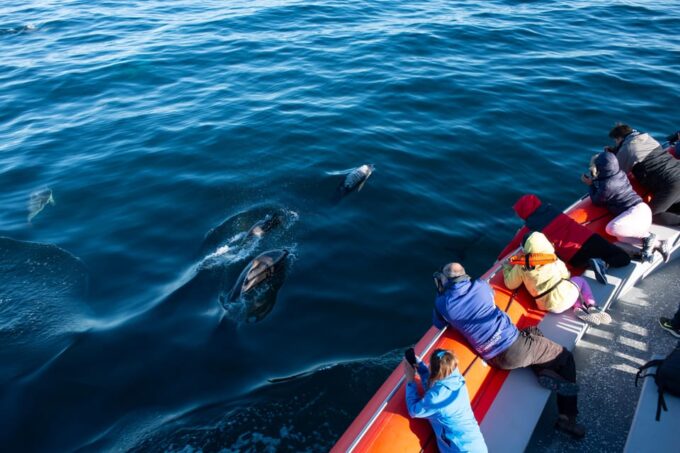 Puerto Madryn: Dolphin Encounter - Frequently Asked Questions