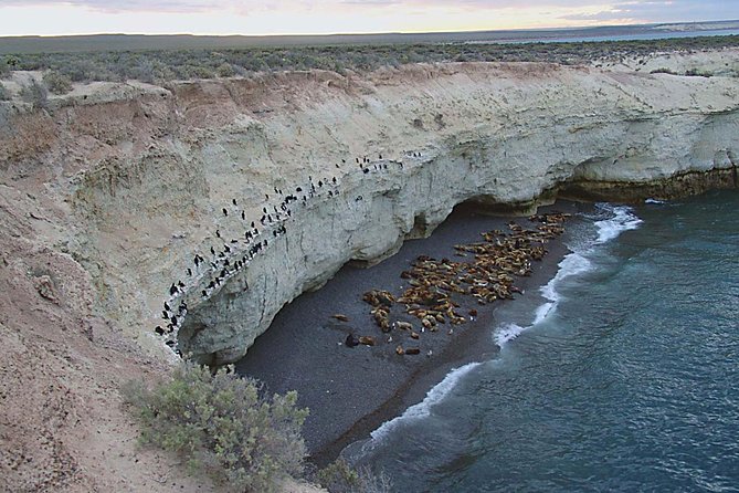 Puerto Madryn: Peninsula Valdes National Park Day Trip - Geological Formations