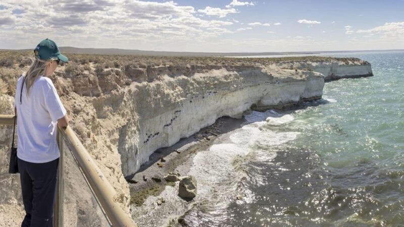 Puerto Madryn: Punta Loma and Southern Puerto Madryn Tour - Monumento Al Indio Tehuelche