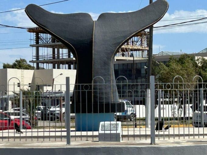 Puerto Madryn: Punta Loma and Southern Puerto Madryn Tour - Frequently Asked Questions