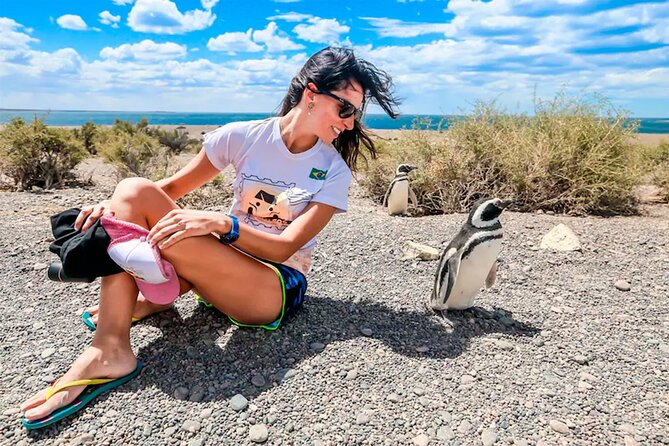 Puerto Madryn: Punta Tombo Full-Day Tour - Tour Inclusions