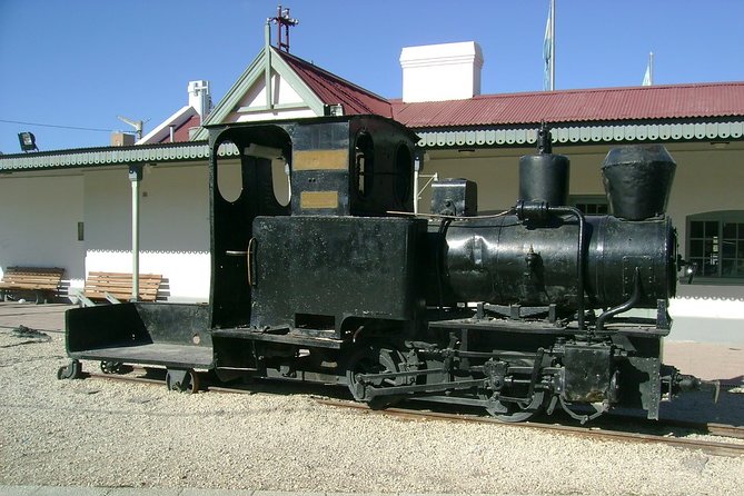 Puerto Madryn Shore Excursion: Private Tour of Trelew and Gaiman - Reviews and Feedback