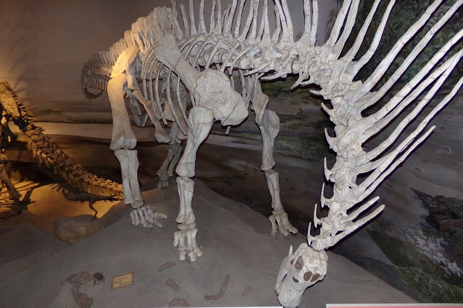 Puerto Madryn Shore Excursion: Private Tour of Trelew and Gaiman - Trelew Paleontological Museum