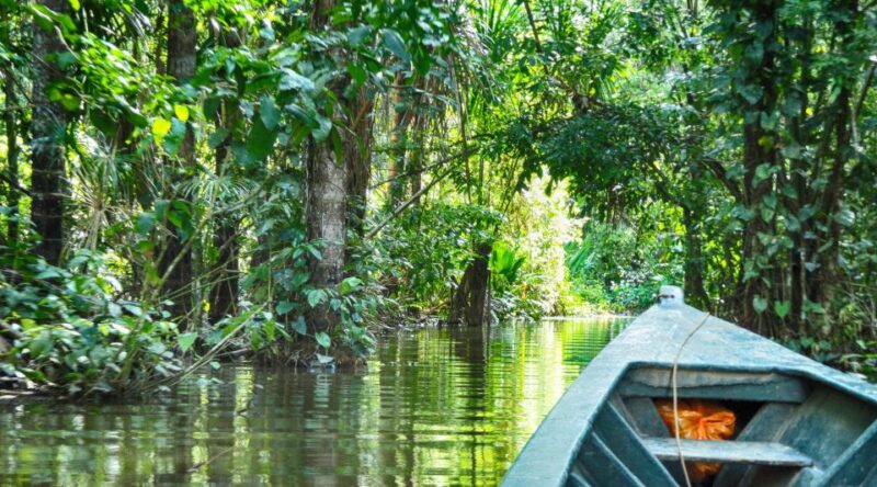 Puerto Maldonado: 2-Day Peruvian Tambopata Jungle Trip - Key Points