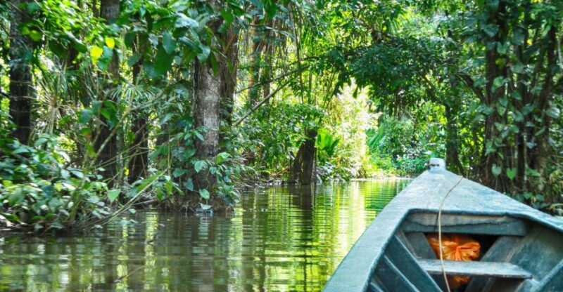 Puerto Maldonado: 2-Day Peruvian Tambopata Jungle Trip - Included Activities