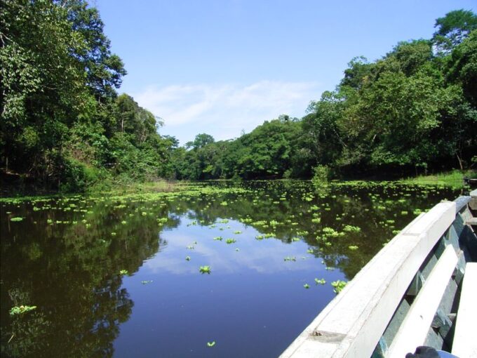 Puerto Maldonado: 2-Day Peruvian Tambopata Jungle Trip - What to Expect