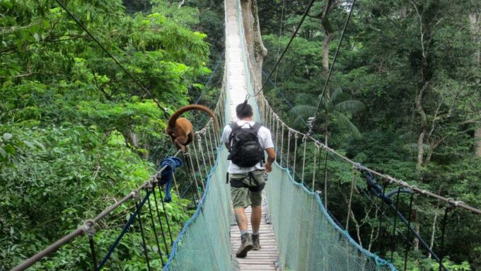 Puerto Maldonado: 2-Day Peruvian Tambopata Jungle Trip - Frequently Asked Questions