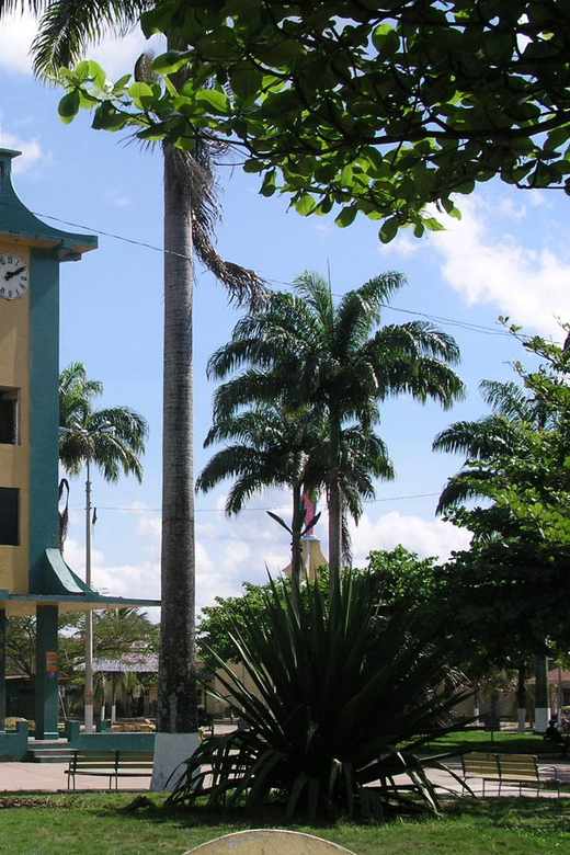 Puerto Maldonado: 2-Day Peruvian Tambopata Jungle Trip - Included Activities