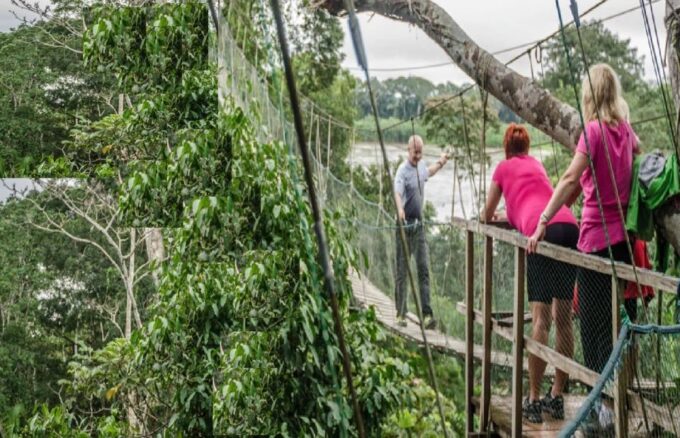 Puerto Maldonado: 3-Day Tambopata National Reserve Trek Trip - Frequently Asked Questions