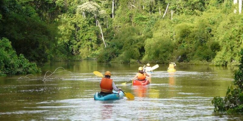 Puerto Maldonado: 4-Day Kayaking Excursion - Wildlife Encounters