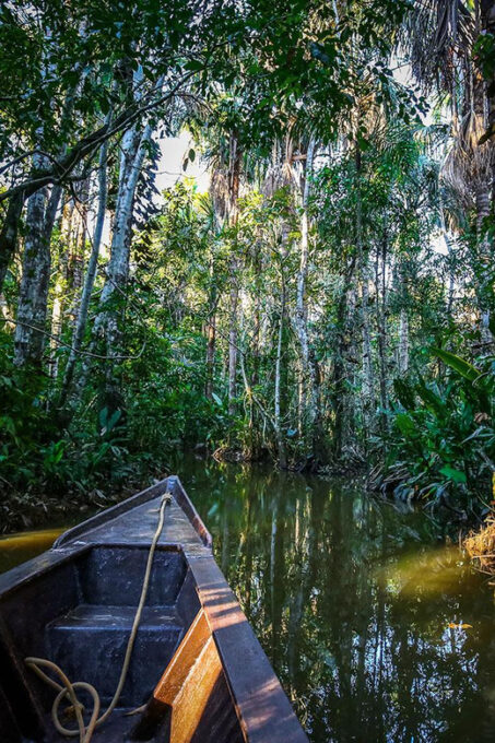 Puerto Maldonado: 4-Day Kayaking Excursion - Inclusions and Amenities