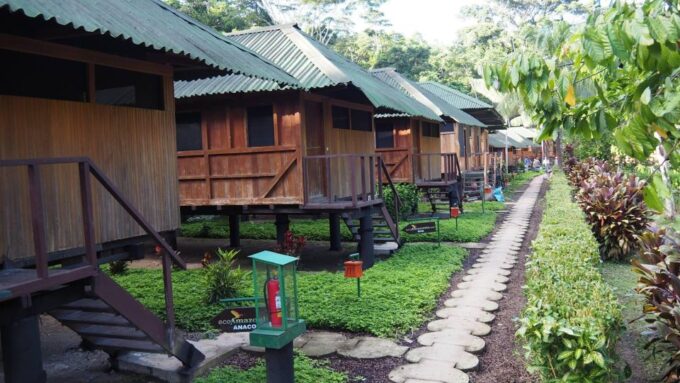 Puerto Maldonado: 4-day Tambopata National Reserve - Exploring Tambopata National Reserve