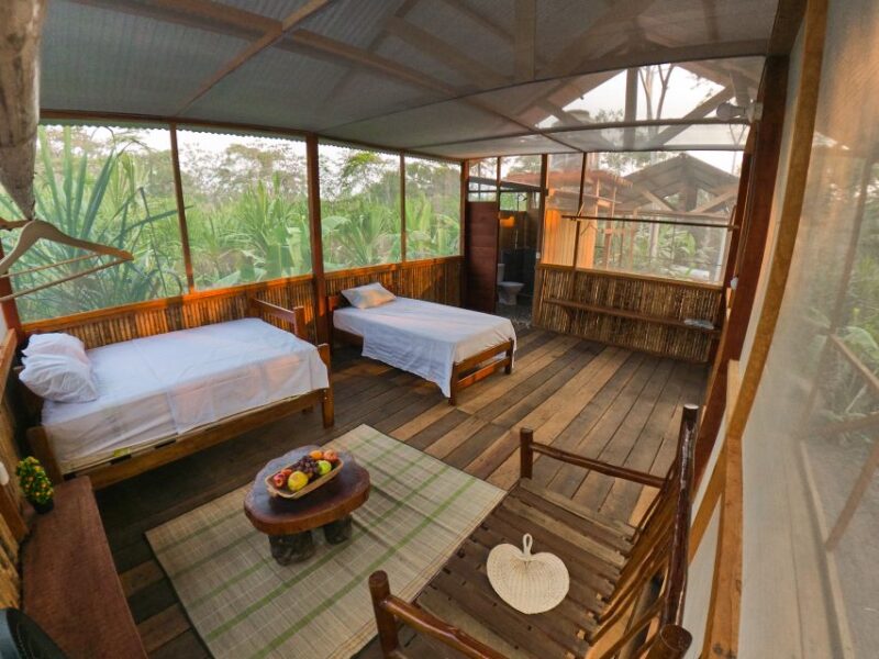 Puerto Maldonado: 4-Day Tambopata Rainforest Tour - Inclusions and Logistics