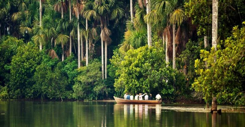 Puerto Maldonado: 4 Days Kayak Tour - Tour Overview and Pricing