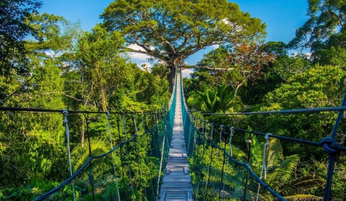 Puerto Maldonado: 4 Days Kayak Tour - Group Size and Languages