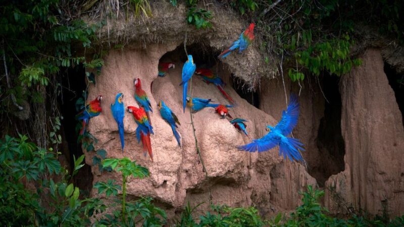 Puerto Maldonado: Adventure-Tambopata & Sandoval Lake 4D/3N - Clothing