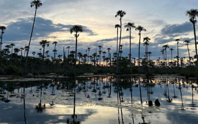 Puerto Maldonado: Jungle of Tambopata National Reserve 2D/1N - What to Bring
