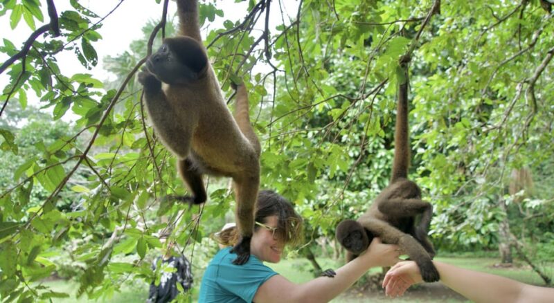 Puerto Maldonado: Kayak Excursion | 4D3N - Tour Overview