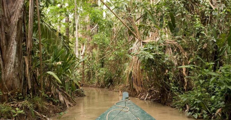 Puerto Maldonado: Macaw Clay Lick 4-Day Tour & Accommodation - Key Points