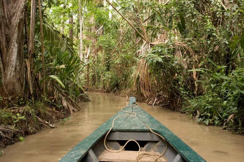 Puerto Maldonado: Macaw Clay Lick 4-Day Tour & Accommodation - Itinerary Highlights