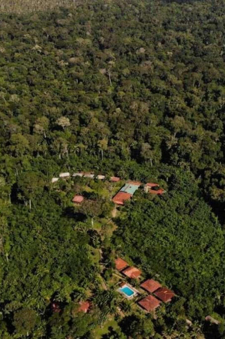 Puerto Maldonado: Macaw Clay Lick 4-Day Tour & Accommodation - Arrival and Transfer
