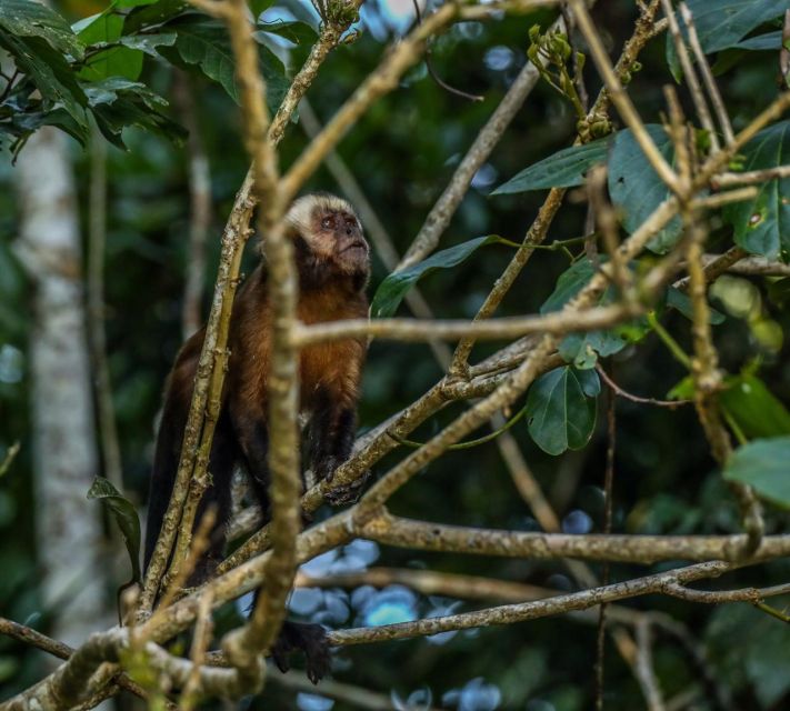 Puerto Maldonado: Sandoval Lake Full-Day Trip With Canoeing - Key Points