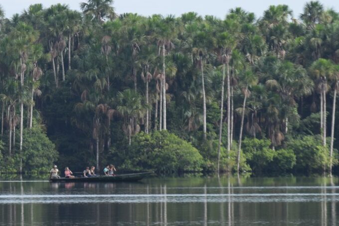 Puerto Maldonado: Sandoval Lake Full-Day Trip With Canoeing - Customer Feedback