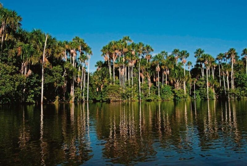 Puerto Maldonado: Sandoval & Parrot Clay Lick 3-Days - Customer Feedback and Ratings