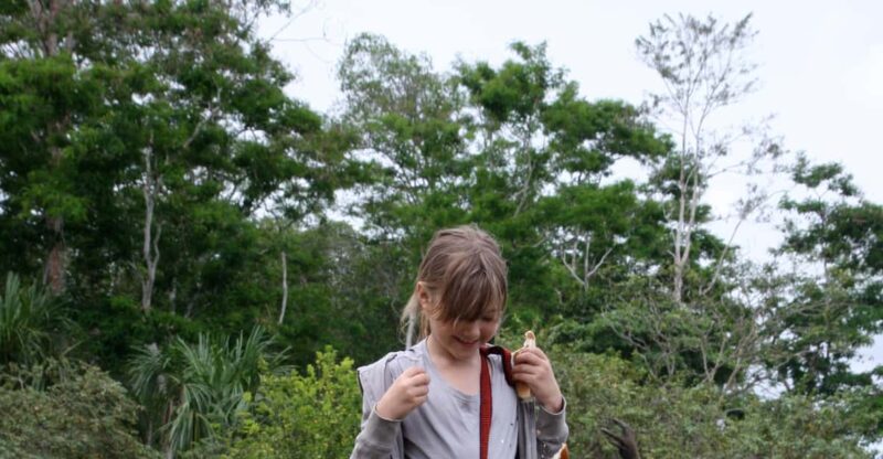Puerto Maldonado: Sandoval & Parrot Clay Lick 3-Days - Itinerary Highlights