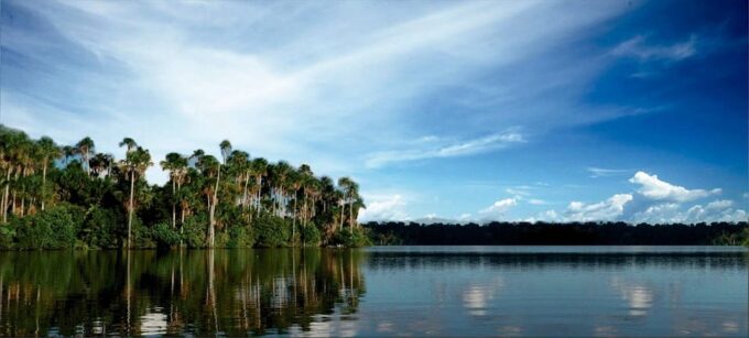 Puerto Maldonado: Sandoval & Parrot Clay Lick 3-Days - Group Size and Cancellation Policy