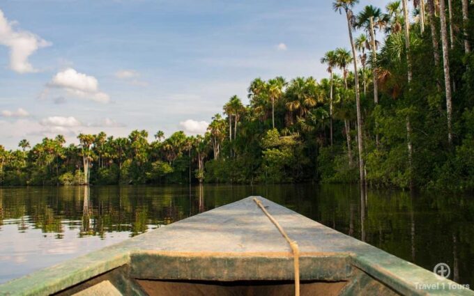Puerto Maldonado: Sandoval & Parrot Clay Lick 3-Days - Frequently Asked Questions