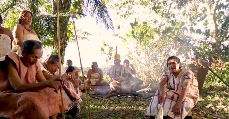 Puerto Maldonado: Tambopata National Reserve 4-Days - Key Points