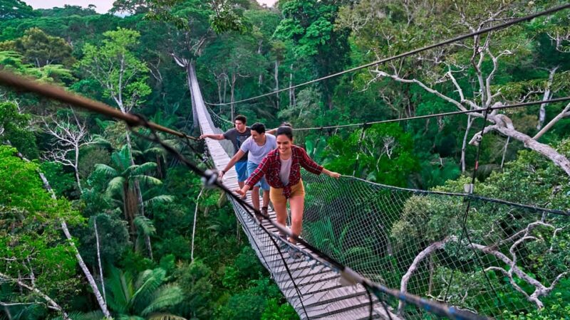 Puerto Maldonado: Tambopata Rainforest Excursion in 4 Days - Key Points