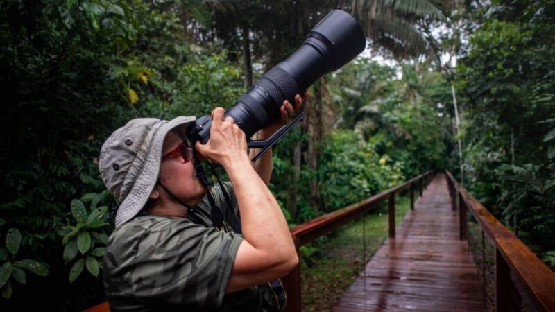 Puerto Maldonado: Tambopata Rainforest Excursion in 4 Days - Important Information