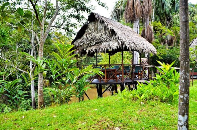 Puerto Maldonado: Tour of Puerto Maldonado for 3 Days - Bird Watching at the Clay Lick