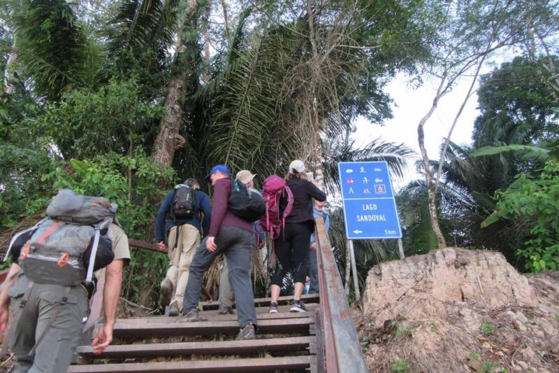 Puerto Maldonado: Trekking Route in Puerto Maldonado 4d/3n - Wildlife and Nature Observation