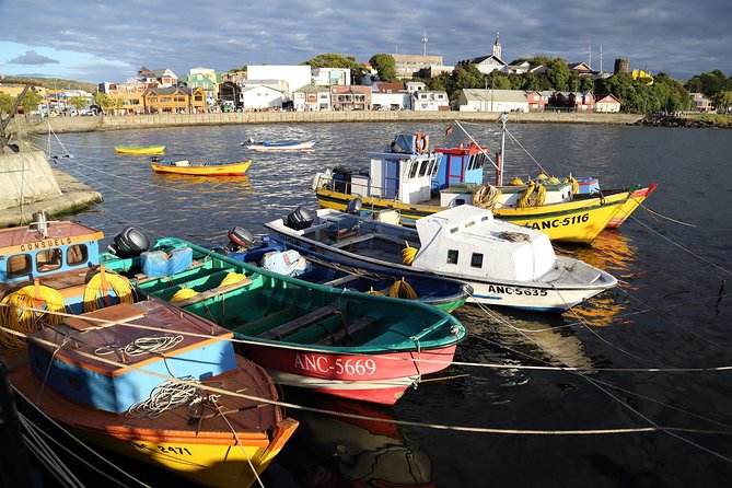 Puerto Montt: Full Day Chiloe Island Visiting Ancud - Caulin - Lacuy - Key Points