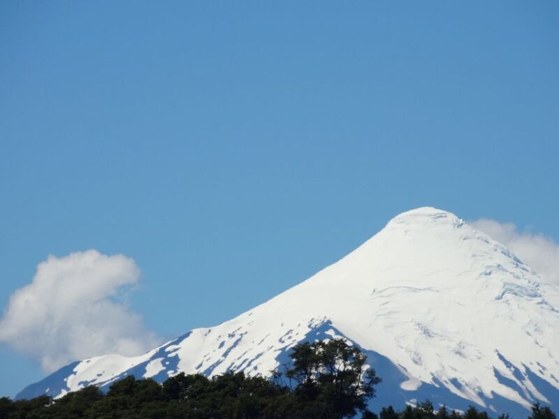 Puerto Montt: Osorno Volcano and Petrohué Falls Guided Tour - Professional Guide
