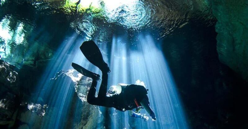 Puerto Morelo: Cenote Diving - Pricing and Reservation